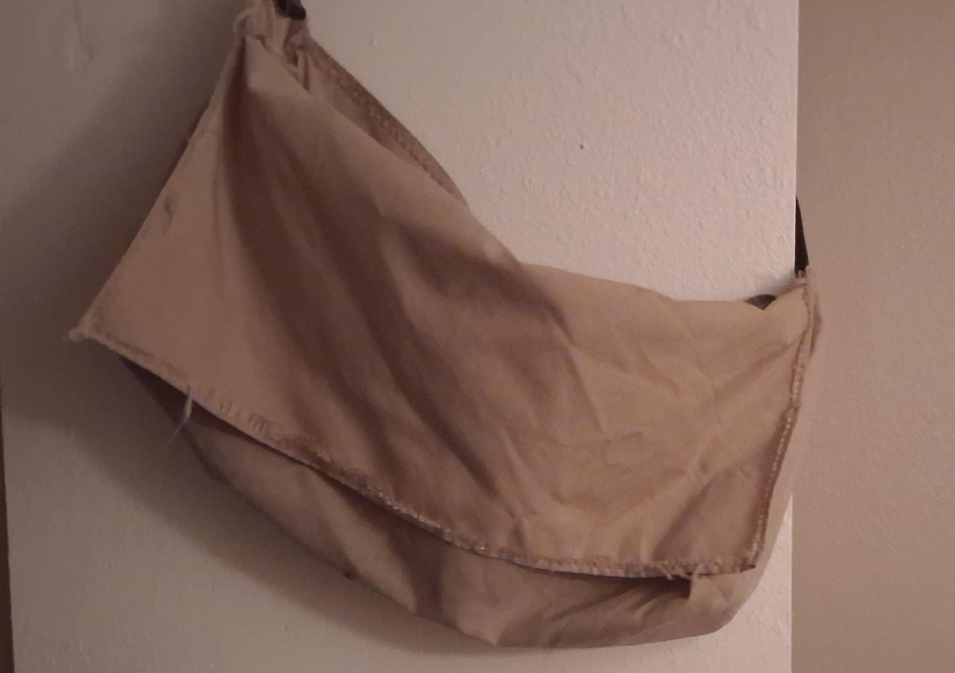 The original canvas meat-snack bag